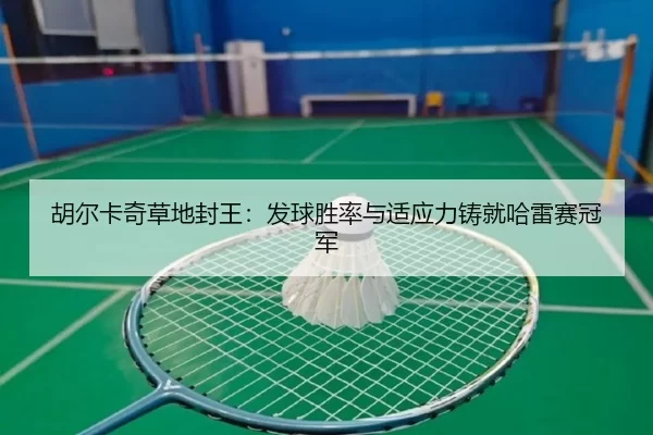 胡尔卡奇草地封王：发球胜率与适应力铸就哈雷赛冠军