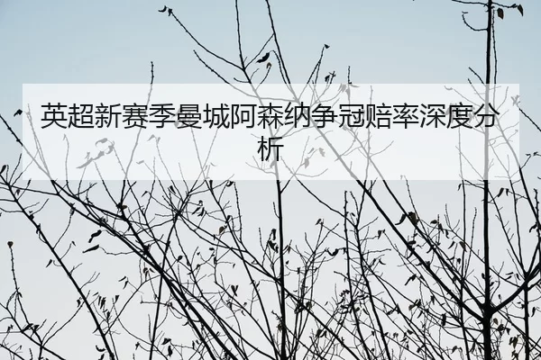 ying-chao-xin-sai-ji-man-cheng-a-sen-na-zheng-guan-pei-lv-shen-du-fen-xi-2-421.jpg