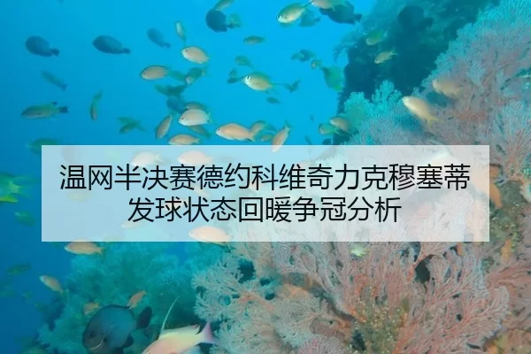 wen-wang-ban-jue-sai-de-yue-ke-wei-qi-li-ke-mu-sai-di-fa-qiu-zhuang-tai-hui-nuan-zheng-guan-fen-xi-3-532.jpg